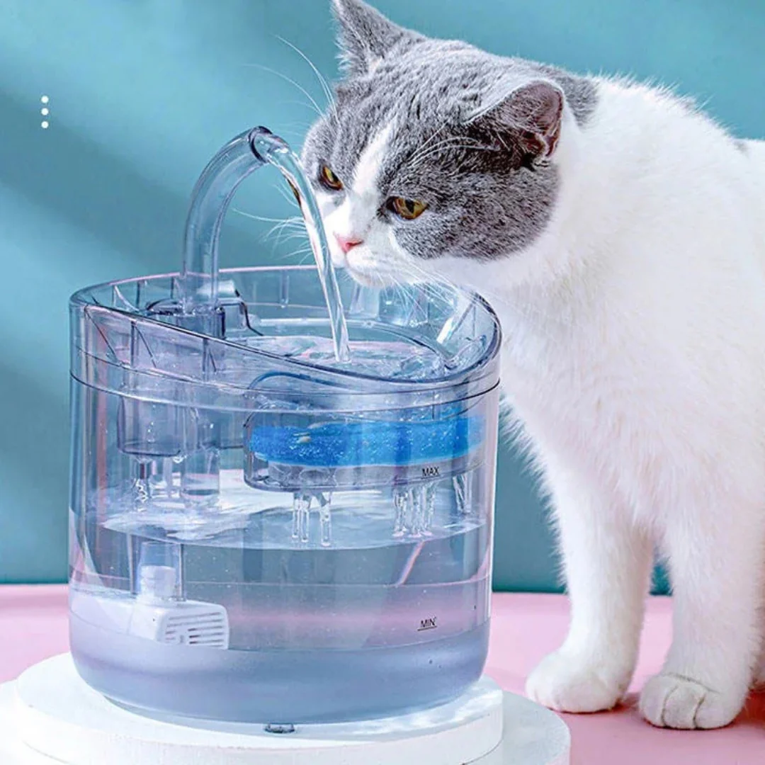 Imagen del producto 5